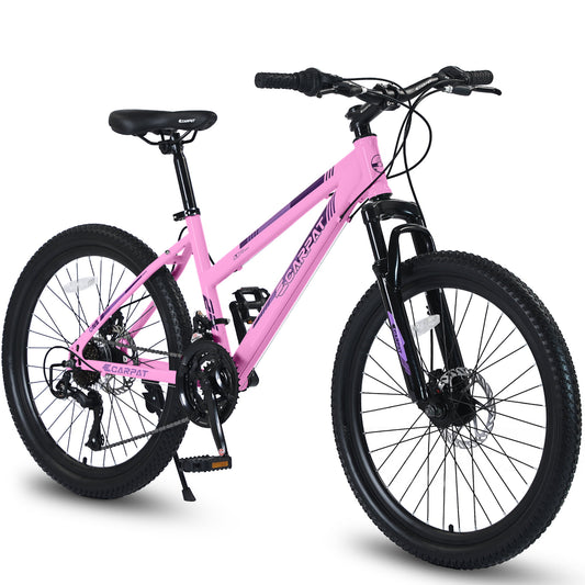 Youth/Adult Mountain Bike, 26 inch Womens Bicycles, Bicicletas Para Mujer for Teenagers Girls, Women MTB with Shimano 21 Speed Grip Shiter and Dual Hand Brakes, Pink